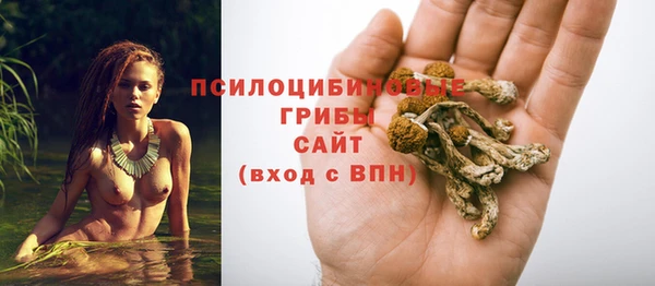 МДМА Алексин