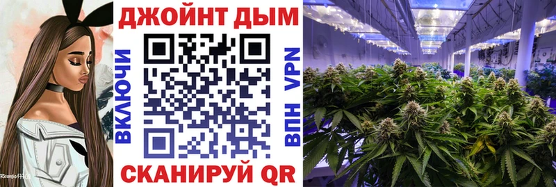 Канабис тримм  купить наркотики цена  Бодайбо 